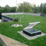 Zielony dach