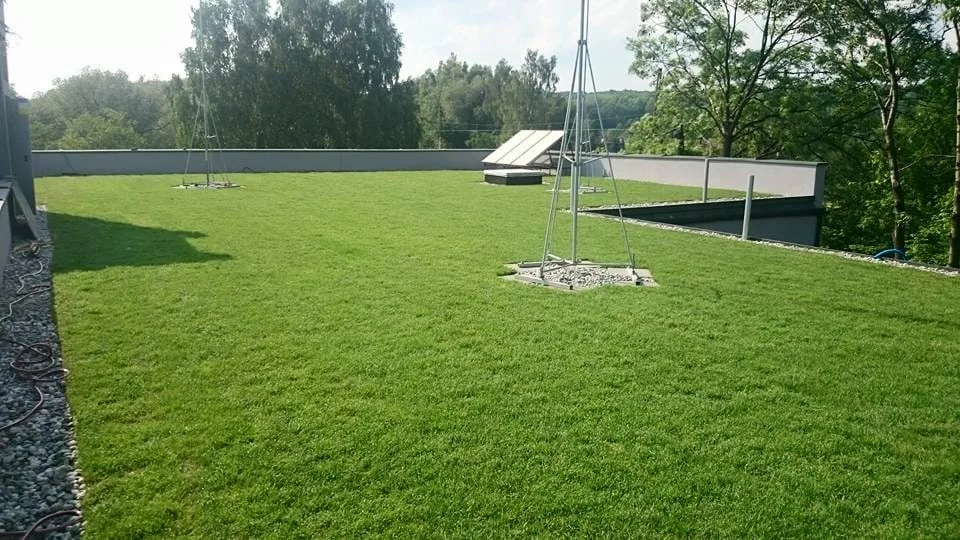 zielony dach